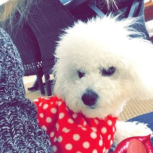 Meet your Posher, Ansley